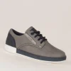 Lloyd & Pryce Kids Tommy Bowe Grey Laced Trainer DONELLY
